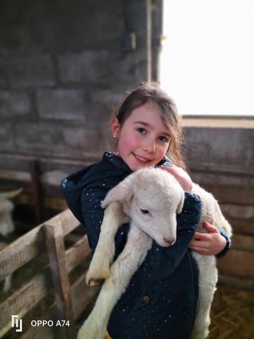 Gite La Dame Au Lit Gite A La Ferme Momignies 外观 照片