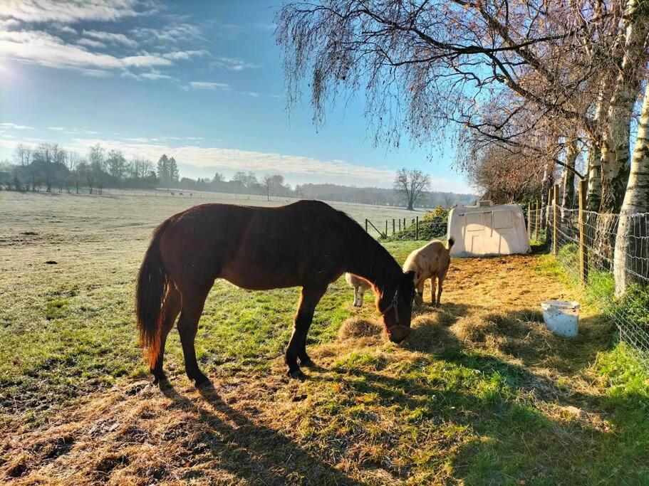 Gite La Dame Au Lit Gite A La Ferme Momignies 外观 照片